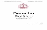 DERECHO POLITICO - RICARDO YAÑEZ