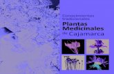 Plantas Medicinales de Cajamarca