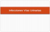 113250909 Infecciones Vias Urinarias