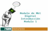 Diplomado Mkt Digital ITAM