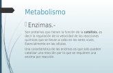 Metabolismo, enzimas  Biología  I