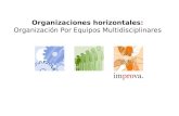 Presentacion organizaciones horizontales, equipos multidisciplinares