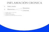 Dr. romero inflamacion cronica,NUTRISIM