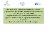 Diagnóstico Básico sobre la Producción de Algodón a través de la Agricultura Familiar en Bolivia.