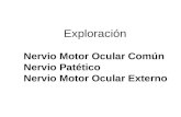 Exploracion Nervios Oculares