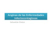 Anginas de las enfermedades infectocontagiosas