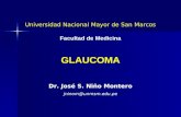 Glaucoma 2008 Unmsm