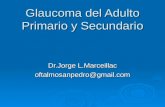 Glaucoma del adulto primario y secundario