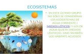 Ecosistemas.pptx diana