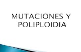 Mutaciones y Poliploidia