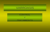 VARROASIS Control y Tratamiento
