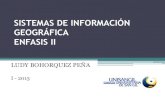 SISTEMAS DE INFORMACIÓN GEOGRÁFICA_1.pdf