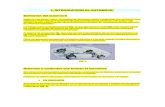 Manual De Mecanica De Automoviles.pdf