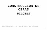 Construcción de obras (pilotes)