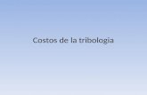 Costos de la tribologia