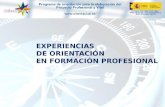 PROYECTO I+D ORIENT@CUAL - Análisis de experiencias