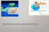 Odontología neurofocal 1