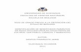 Iidentificacion de nemátodos parasitos.pdf