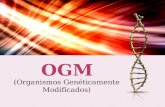 Organismos geneticamente modificados (expo ciencia y sociedad)