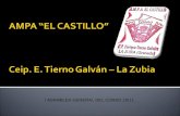Ampa El Castillo - I asamblea Curso 2010/2011