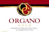 Presentacion OrGano Gold - Nov2011