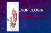 Embriología del Sistema Digestivo