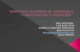 Derechos Humanos en Venezuela, Daniella Sánchez