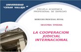 Cooperacion Judicial Internacional