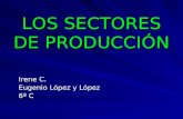 Sectores de produccion[1]irene
