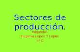 Sectores de producció alexn