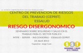 Cam seminario sst-riesgosdisergonomicos-2012-04-24
