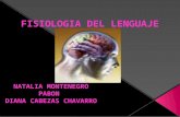 Fisiologia del lenguaje