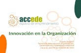 ACCEDE - Innovación en la Organización - Seminario de Innovacion, Caracas 2010-0ct-13