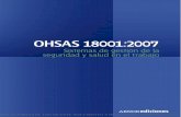 Ohsa 18001  2007