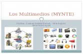 Los multimedios (mynte)