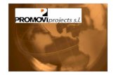 Promovi Projects   Com Crear Una Empresa A L Europa De L Est