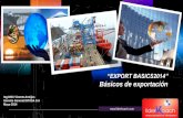 Presentacion final export basics .. aprende a exportar