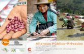 Alianzas Público Privadas para el futuro del desarrollo y la paz en Colombia