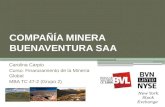 Compañia de minas Buenaventura 30jun2011