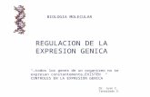 1. regulacion de la expresion genica