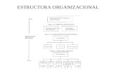 Estructura Organizacional(3)