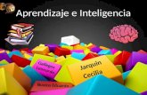Aprendizaje e inteligencia (nueva)   copia
