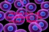 Tratamiento de enfermedades con células madre