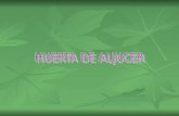 Huerta de Aljucer