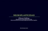 Concepto de neuroplasticidad, Recomendado por la Fundació Lauretum