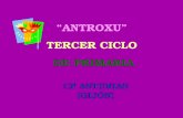Antroxu08tercerciclo  C P Asturias ( GijóN)