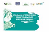 Realidad y oportunidades de emprendimiento sostenible en áreas rurales