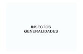 Insectos. generalidades
