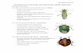 Familias de Hemiptera, Neuroptera y Coleoptera