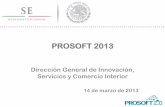 Presentación PROSOFT EJERCICIO 2013_v3